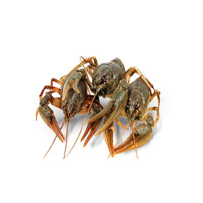  Раки живые мелкие 1 кг в интернет-магазине свежих фермерских продуктов Apeti.ru