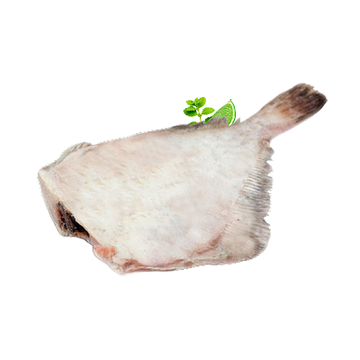 Камбала белобрюхая дальневосточная (икряная) 0,5-1 кг в Apeti.ru Камбала белобрюхая дальневосточная (икряная) 0,5-1 кг в интернет-магазине свежих фермерских продуктов Apeti.ru