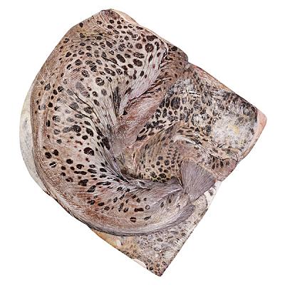 Зубатка пестрая ОПТ в Apeti.ru Зубатка пестрая ОПТ в интернет-магазине свежих фермерских продуктов Apeti.ru