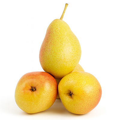  Груша Форель в интернет-магазине свежих фермерских продуктов Apeti.ru