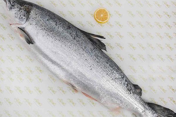  Семга (лосось) охлажденная, тушка 6-7 кг в интернет-магазине продуктов с Преображенского рынка Apeti.ru