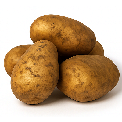 Картофель Россия