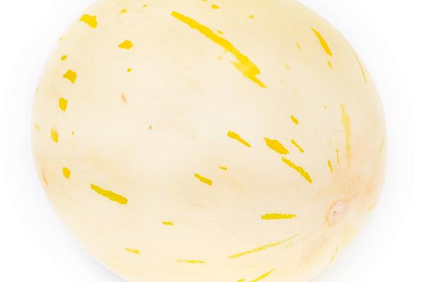  Дыня белая (Бразилия) 1 шт. в интернет-магазине продуктов с Преображенского рынка Apeti.ru