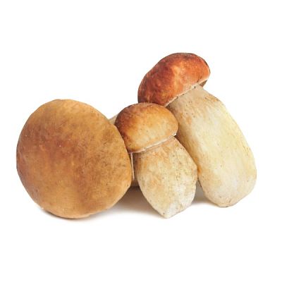 Грибы белые (боровики)