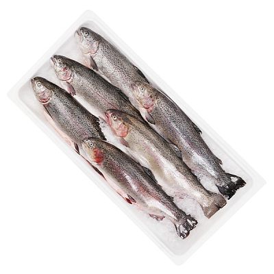 Форель карельская охлажденная крупная 1,5+  10 кг ОПТ