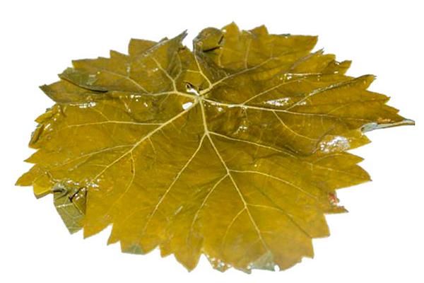  Виноградные листья соленые в интернет-магазине продуктов с Преображенского рынка Apeti.ru